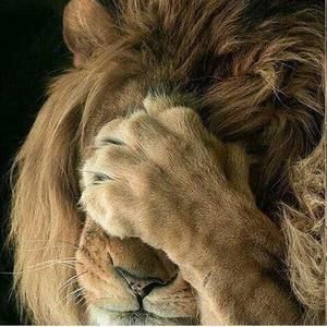 Meet your Posher, Jeff